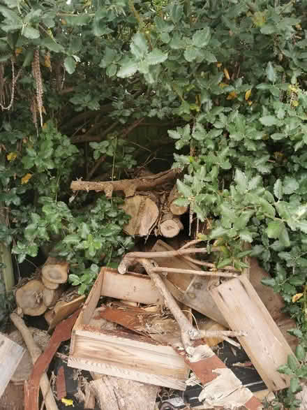 Photo of free Logs and wood. Various sizes (Leominster HR6) #2