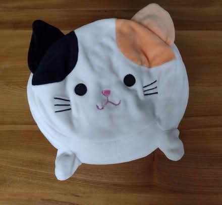 Photo of free Cat toy squishy cushion (Brincliffe Edge S7) #3