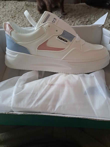 Photo of free New trainers (St.leonards on Sea Tn377ea) #1