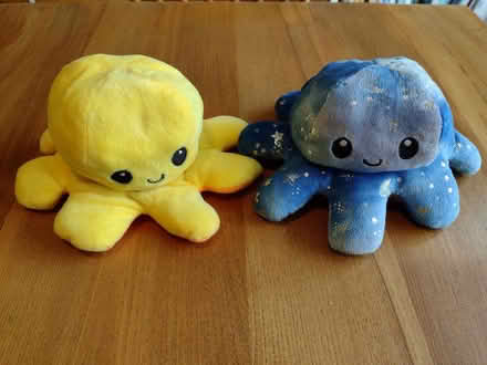 Photo of free 2 reversible happy/sad soft toys (Brincliffe Edge S7) #1
