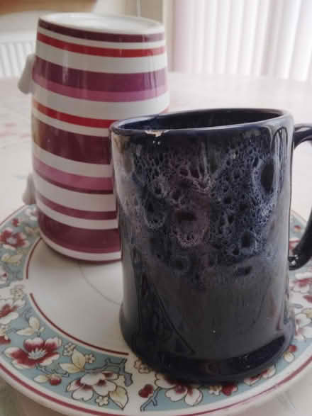 Photo of free Gardening or Crafting Crockery (penarth CF64) #1