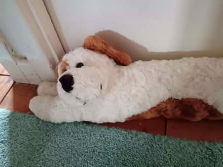 Photo of free Doggy draught excluder, excellent condition (The Rock TF3) #2