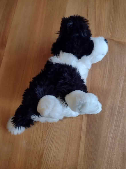 Photo of free Dog toy door stop (Brincliffe Edge S7) #3