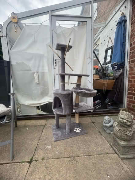 Photo of free Cat tree (Felling NE10) #1