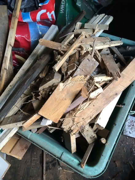 Photo of free firewood (Sprowston NR7) #1