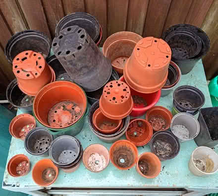 Photo of free Collection of plant pots (Harlington UB3) #2
