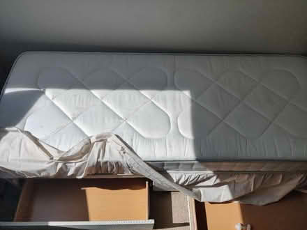 Photo of free Single bed with mattress (EH16, Prestonfield) #4