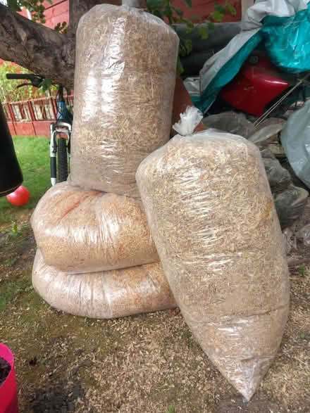 Photo of free Wood Shavings (Oxford OX4) #2