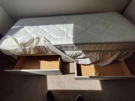 Photo of free Single bed with mattress (EH16, Prestonfield) #3