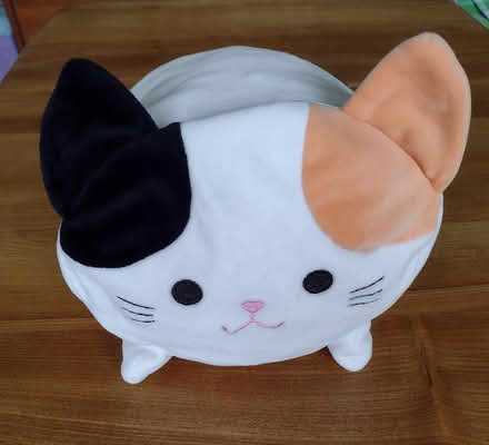 Photo of free Cat toy squishy cushion (Brincliffe Edge S7) #2