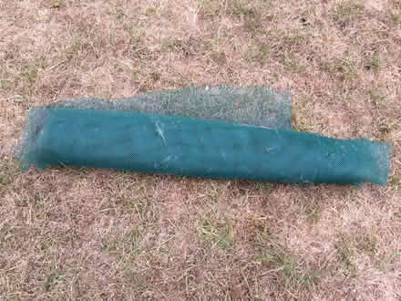 Photo of free Garden netting for keeping pests off (Westbury on Trym BS9) #1