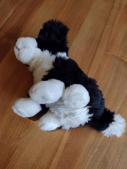 Photo of free Dog toy door stop (Brincliffe Edge S7) #4