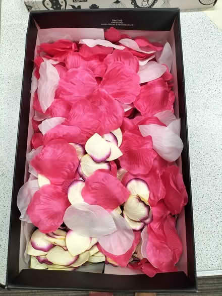 Photo of free Wedding chair/pew decorations (Arnold NG5 9QP) #1