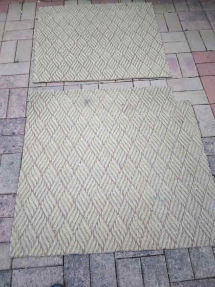 Photo of free Carpet (penarth CF64) #1