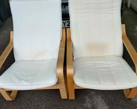 Photo of free Two IKEA Light-weight Armchairs (Glyne Gap TN40) #1