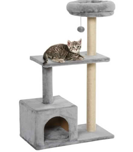 Photo of cat tree / scratcher any size any condition (Springfield CM1) #1