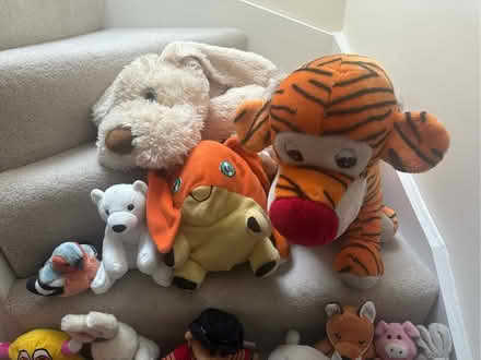 Photo of free Soft toys (Jesmond) #2