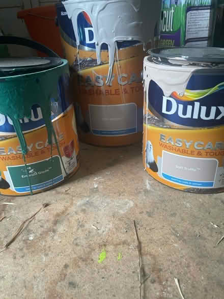 Photo of free Indoor Paint - Walls and Ceilings (Witton Gilbert DH7) #1
