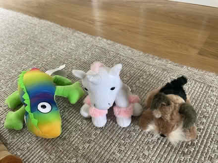Photo of free Selection of soft toys. (North Ascot SL5) #4