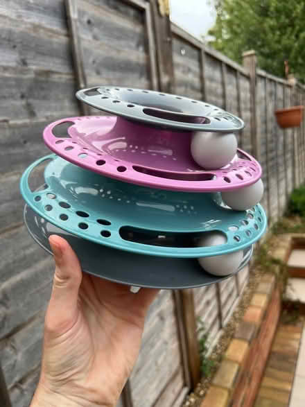 Photo of free Cat toy (Burnham SL1) #1