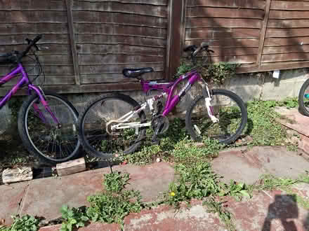 Photo of free Bicycles (Chatham ME4) #3