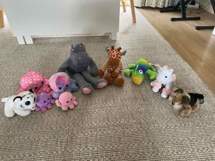 Photo of free Selection of soft toys. (North Ascot SL5) #1