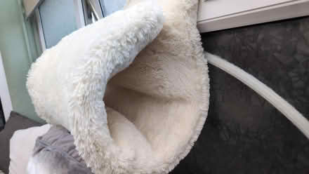 Photo of free Cat Bed (Wistaston CW2) #2