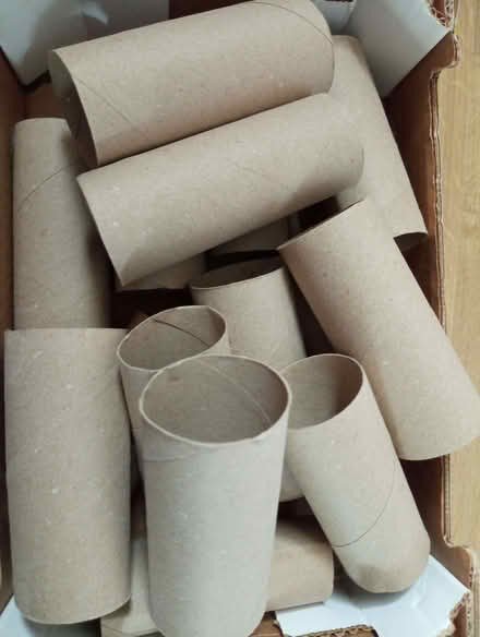 Photo of free Toilet cardboard tubs (Bonnington EH6) #1