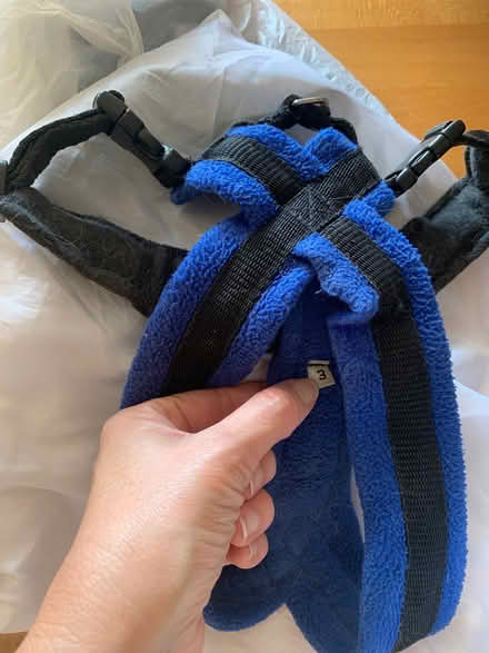 Photo of free Fleece dog harness/lead - size 3 (Fleetville AL1) #1