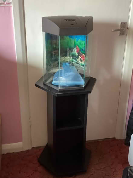 Photo of free Fish tank on stand (Redhills EX4) #1