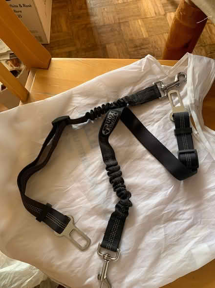 Photo of free Seatbelt fastener for dogs (Fleetville AL1) #1