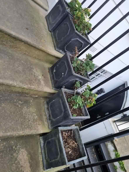Photo of free Garden Pots (World's End SW10) #4