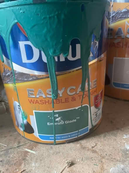 Photo of free Indoor Paint - Walls and Ceilings (Witton Gilbert DH7) #3