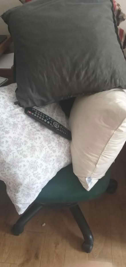 Photo of free Cushion inserts (Whitehill GU35) #1