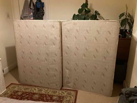 Photo of free Double Bed Base (Phibsboro) #1