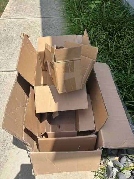 Photo of free Boxes (apex) #1