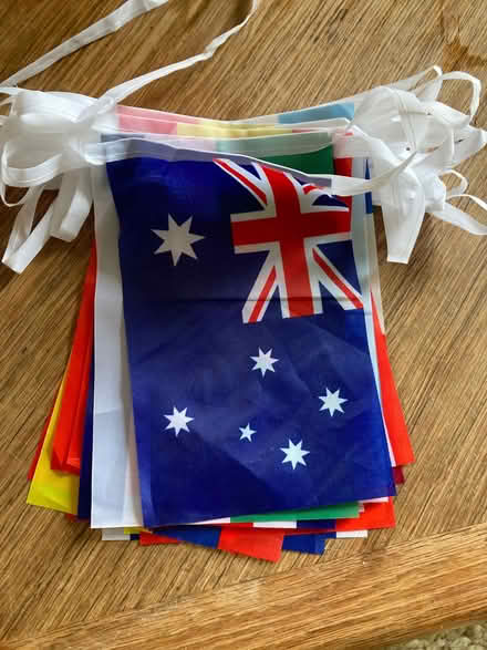 Photo of free String of 2022 football World Cup flags (Blackford EH9) #1