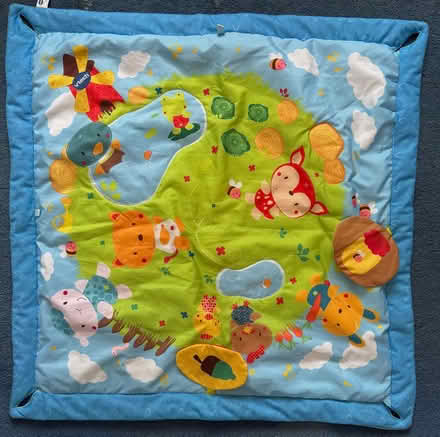 Photo of free Baby activity mat and centre (Bracknell Forest RG12) #1