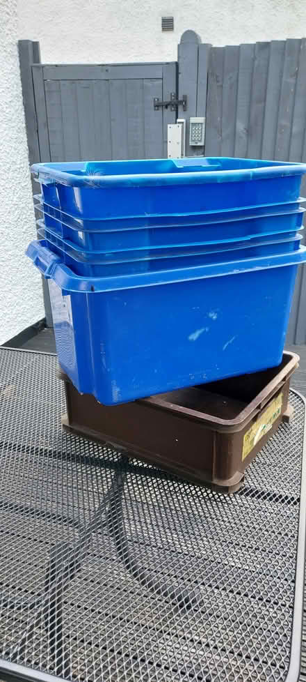 Photo of free Large Plastic Storage boxes (Orpington) #1