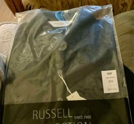 Photo of free 2 Cotton Shirts (Stanstead St Margarets SG12) #3