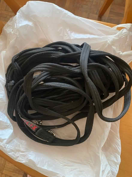 Photo of free Long lead for dog training (Fleetville AL1) #1