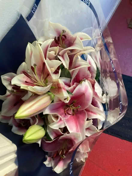 Photo of free Big bunch of Lilies (Blackford EH9) #1