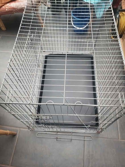 Photo of free Large Dog Crate (Great Asby CA16) #2