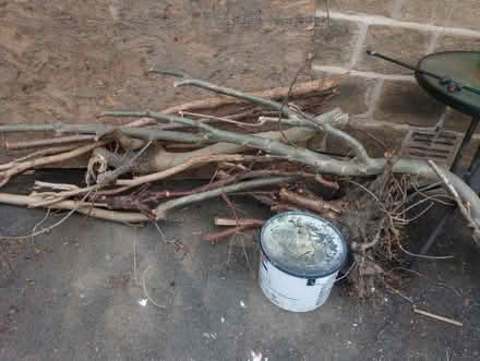 Photo of free Branches for log burner (Moldgreen HD5) #1