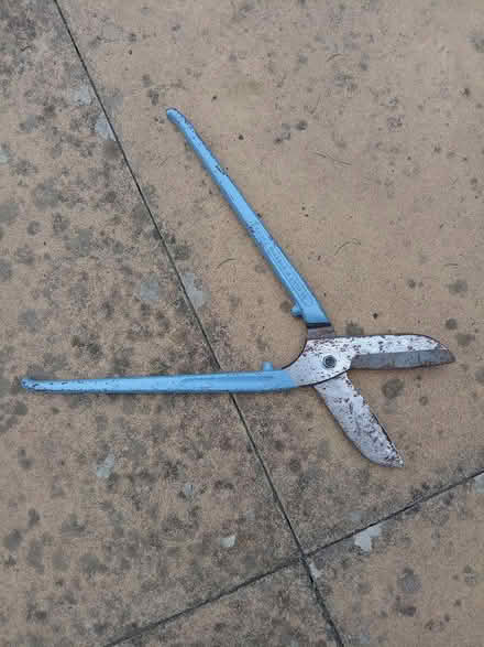 Photo of free Tin snips (Dudley DY3) #2