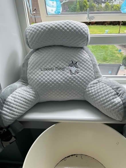 Photo of free Cushion for dog or small person (AB11) #1