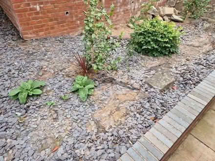 Photo of free Purple Slate Chippings (Tupsley HR1) #2