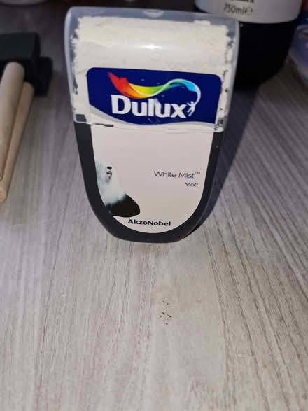 Photo of free Builder Depot Dulux Heritage Paint Tester potsVarious Shades (Dog Kennel SE15) #2
