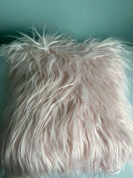 Photo of free Cushions (AB11) #2