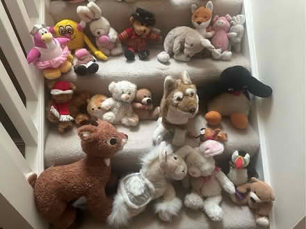 Photo of free Soft toys (Jesmond) #3